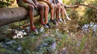 Group of kids sitting on a branch over summer