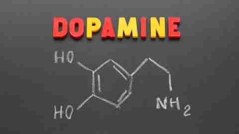 Chemical dopamine formula of which people with ADHD have low levels Chemical dopamine formula of which people with ADHD have low levels