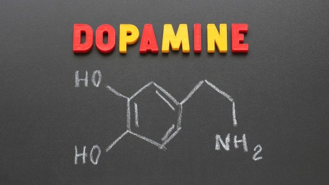 Chemical dopamine formula of which people with ADHD have low levels Chemical dopamine formula of which people with ADHD have low levels
