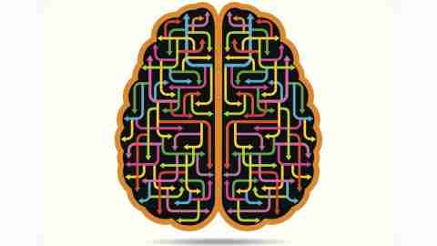 An illustration of a brain, and the complex pathways of ADHD emotions.
