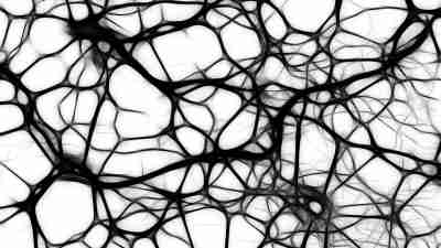 ADHD Children Born With Smaller Brains