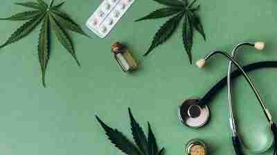 Cannabis leaves displayed over a green aesthetic background.