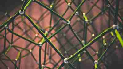 Caught in the net of learning disabilities